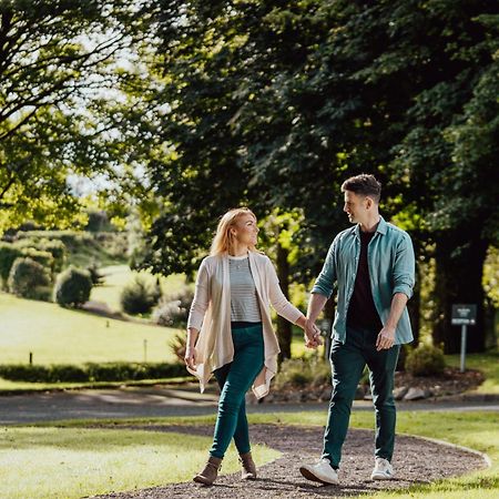 Millbrook Lodge Ballynahinch Ngoại thất bức ảnh